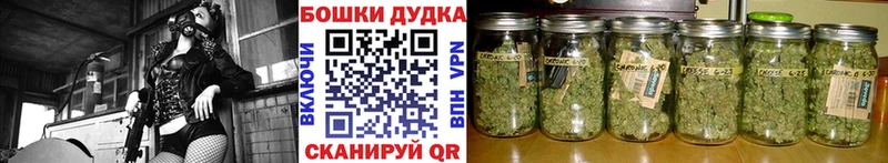 закладки Баксан Каннабис VHQ